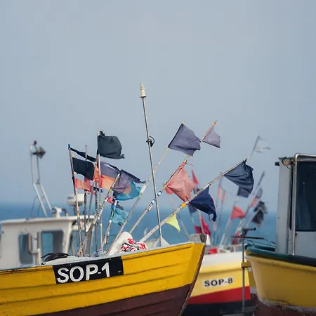 ベッド・アンド・ブレックファスト Flaming 3*