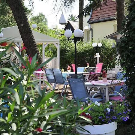 Flaming Bed & Breakfast 3*