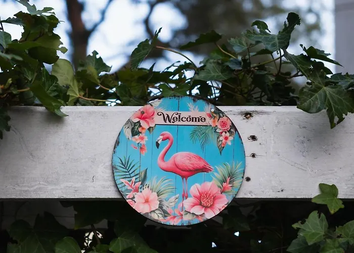 Bed and breakfast Flaming