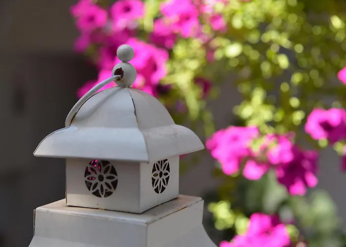 Flaming Отель типа 